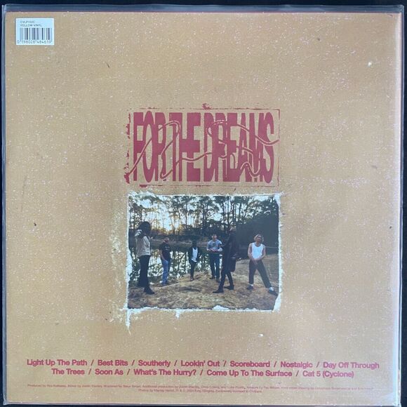 King Stingray – For The Dreams – Limited Yellow Vinyl, LP, Cooking Vinyl, 2024 - Picture 3 of 3